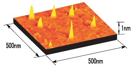 BLISTER_S.JPG - 16,141BYTES